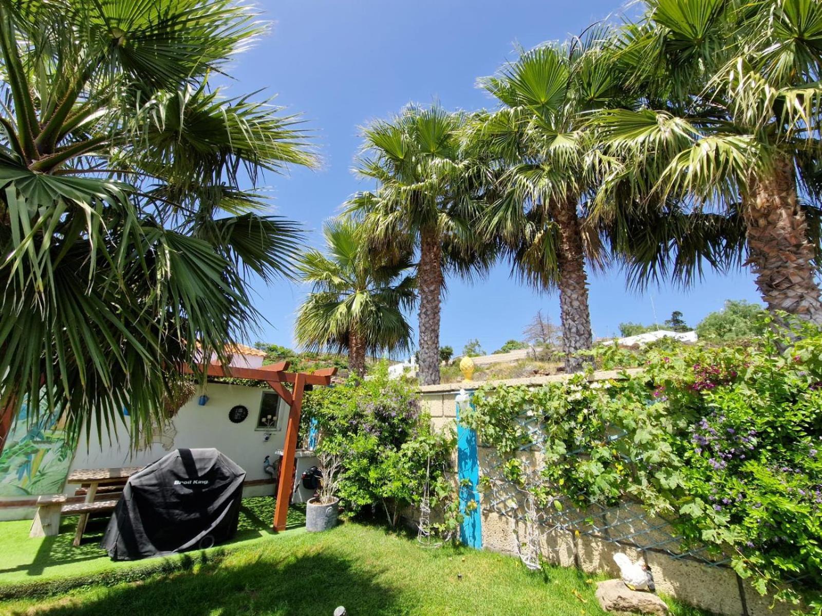 Escape To Finca Conejo, Typical Canarian House Private Jacuzzi, Sauna, Gym, Finca Conejo Taucho By Aqua Vista Tenerife Costa Adeje  Exteriér fotografie